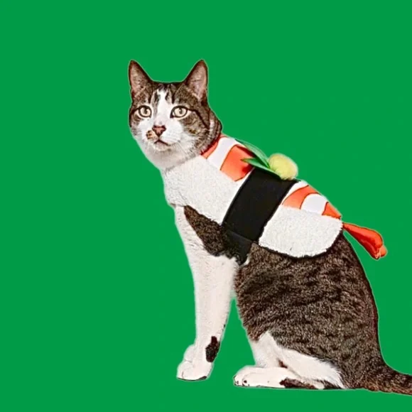 PET SUSHI COSTUME NWT - Picture 3 of 12